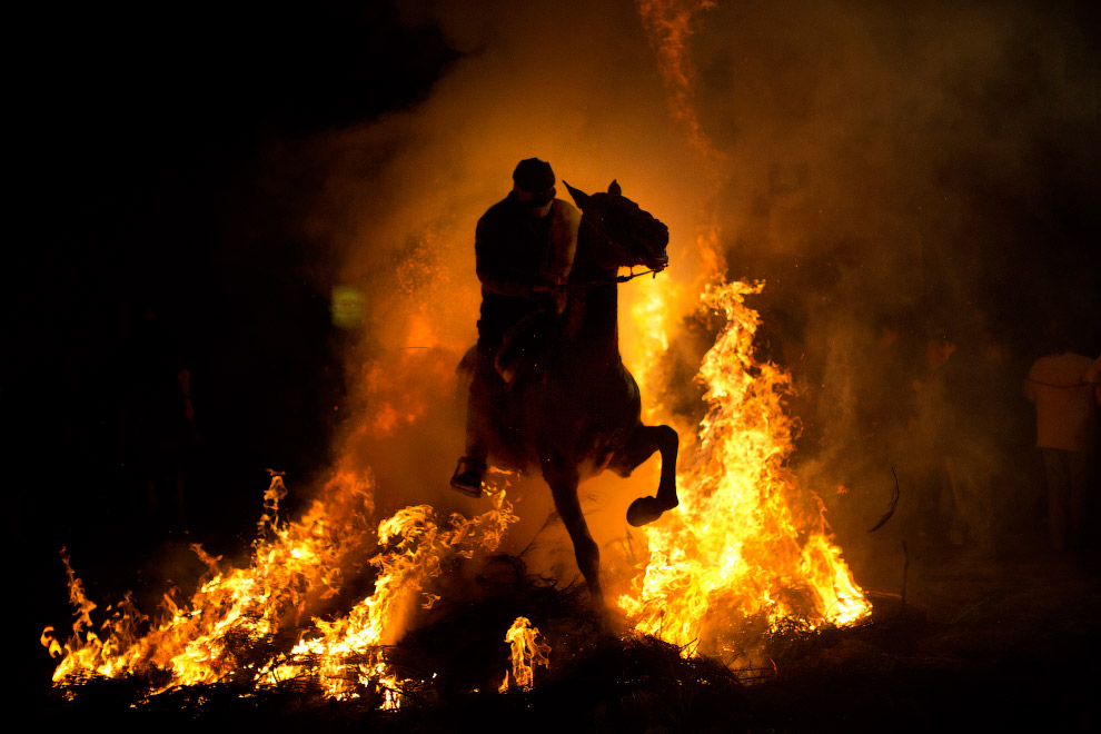 Огонь и лошади: День святого Антонио