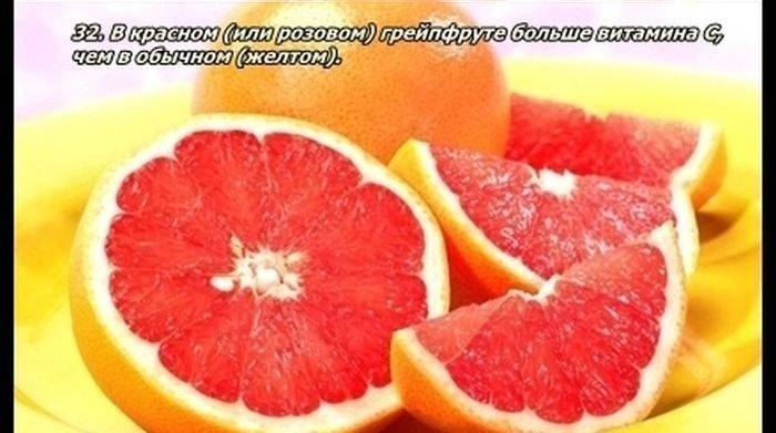 Разные факты о еде