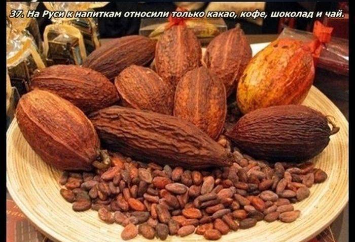 Разные факты о еде