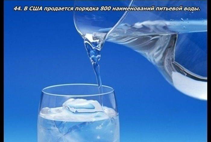 Разные факты о еде