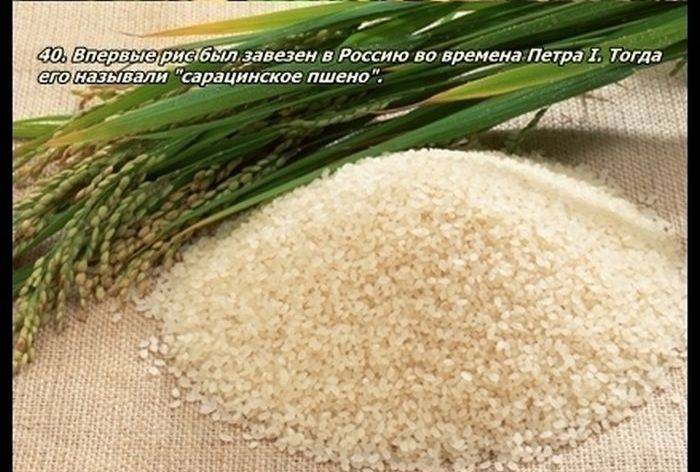 Разные факты о еде