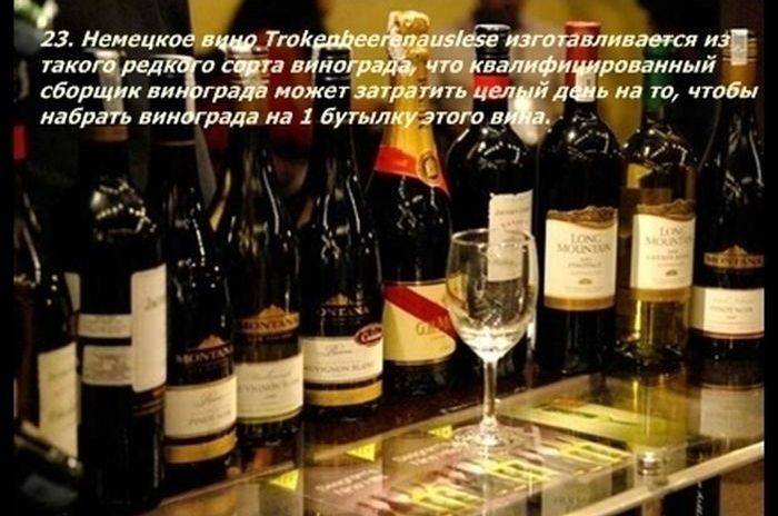 Разные факты о еде