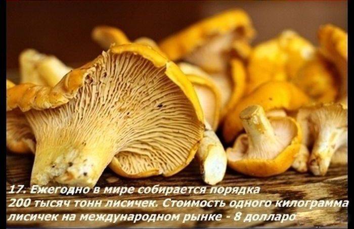 Разные факты о еде
