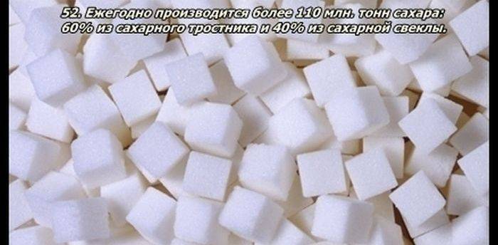 Разные факты о еде