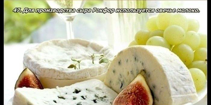 Разные факты о еде