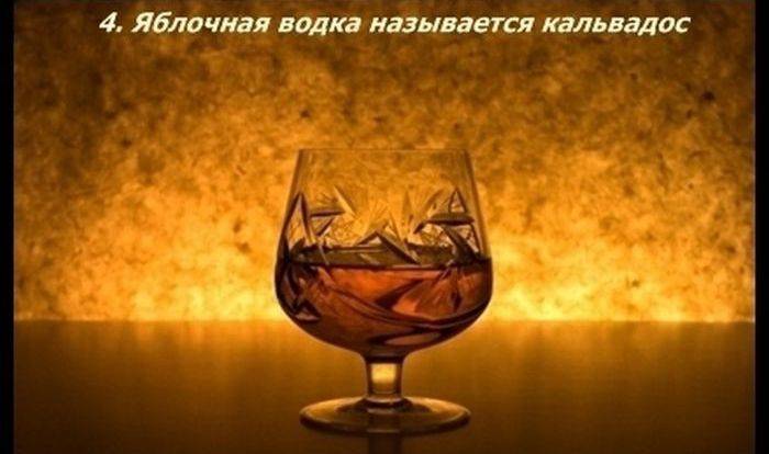 Разные факты о еде