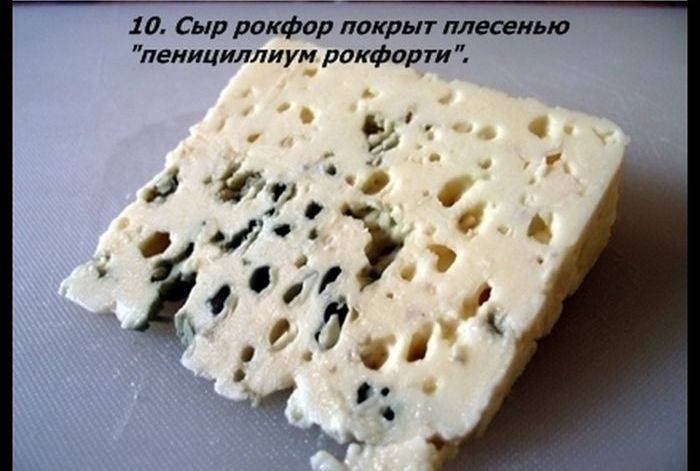 Разные факты о еде