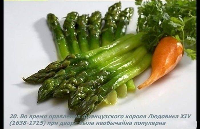 Разные факты о еде