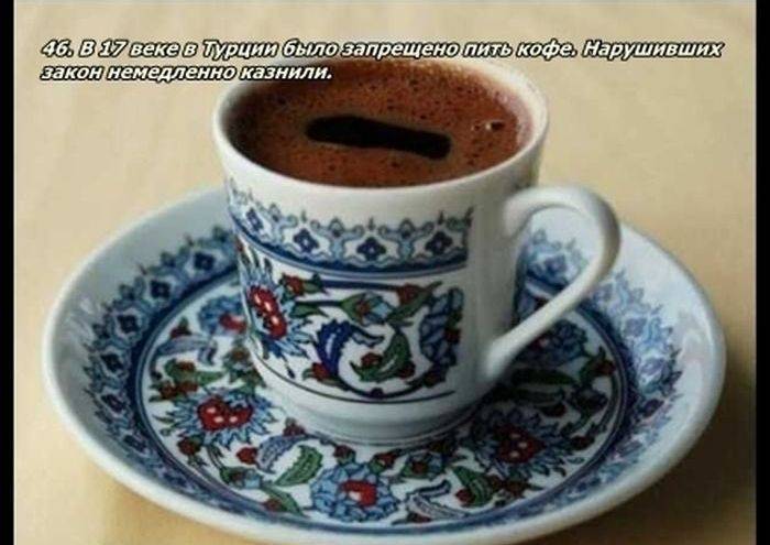 Разные факты о еде