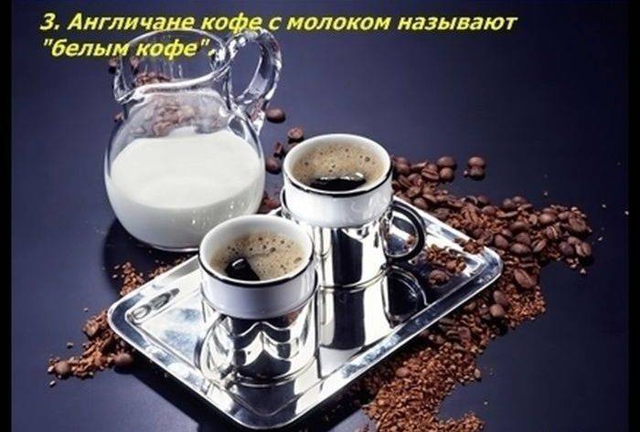 Разные факты о еде