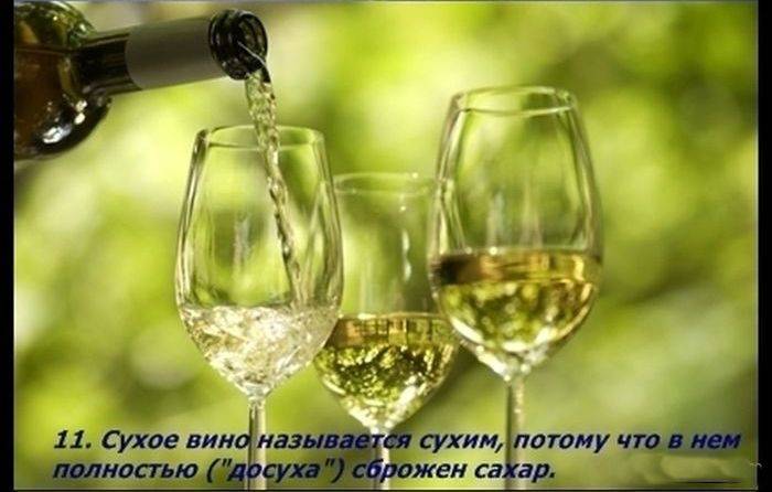 Разные факты о еде