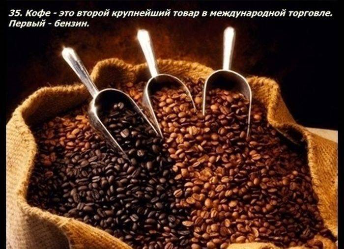 Разные факты о еде