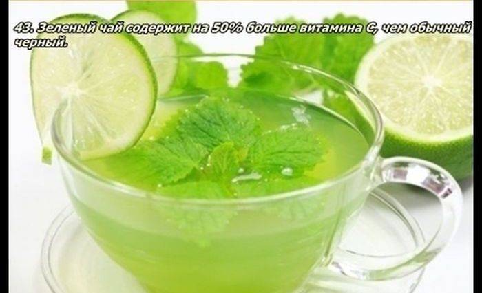 Разные факты о еде