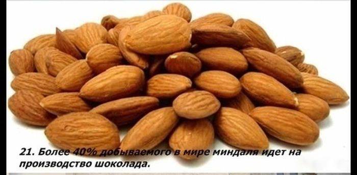 Разные факты о еде