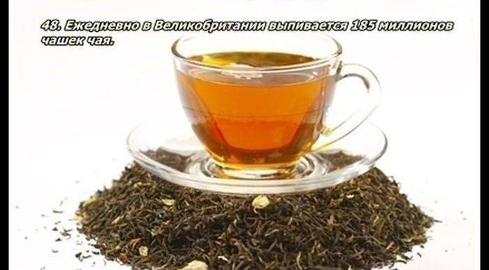 Разные факты о еде