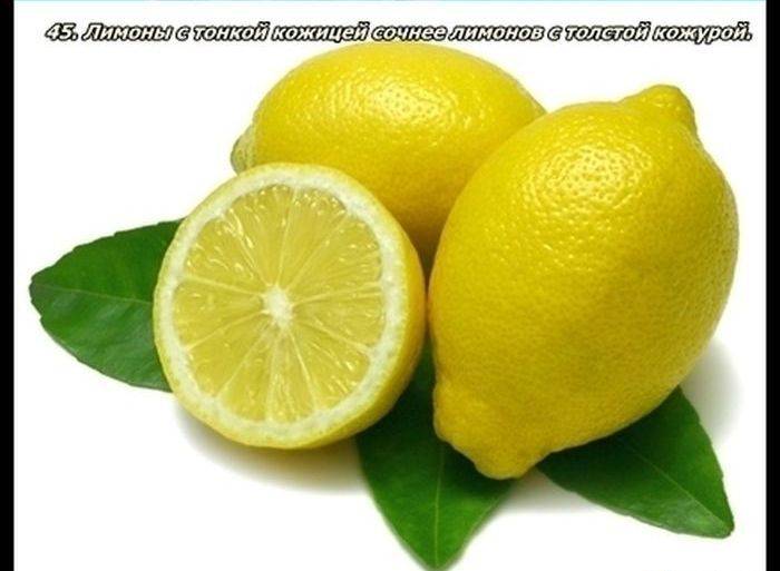 Разные факты о еде