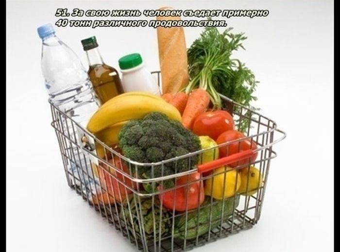 Разные факты о еде