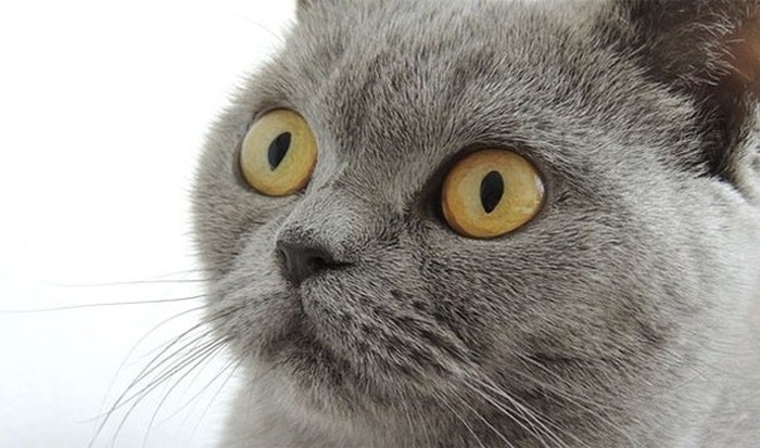 Интересные истории и занятные факты из тюремного мира