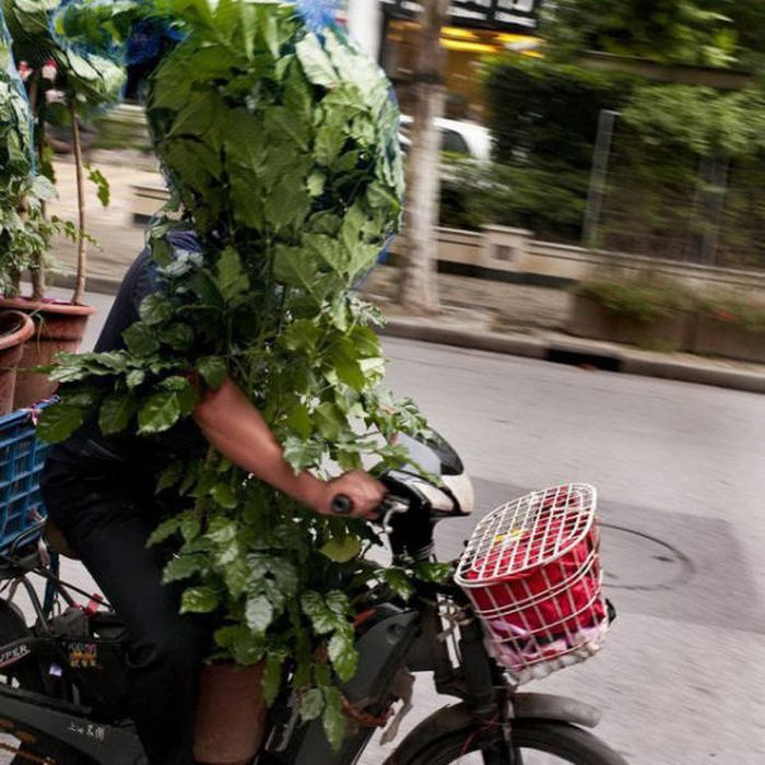 Автомобильный юмор