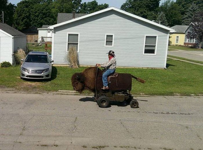 Автомобильный юмор