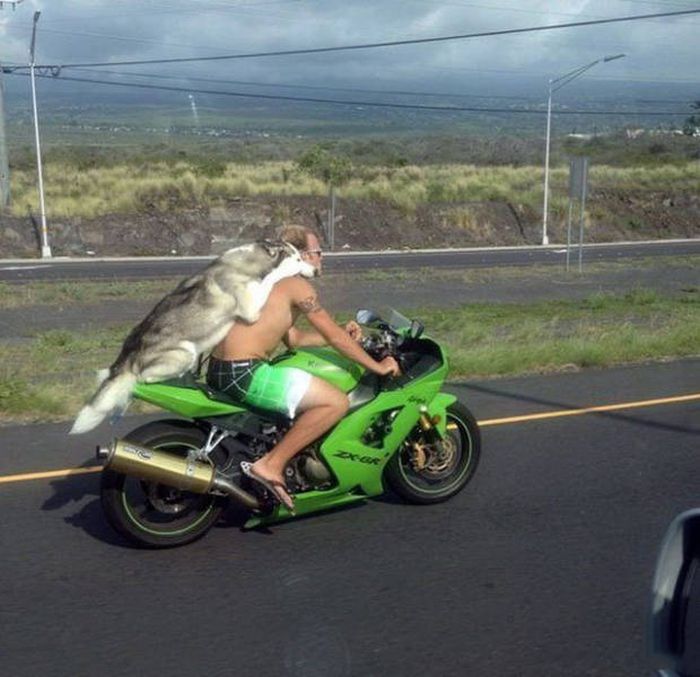 Автомобильный юмор