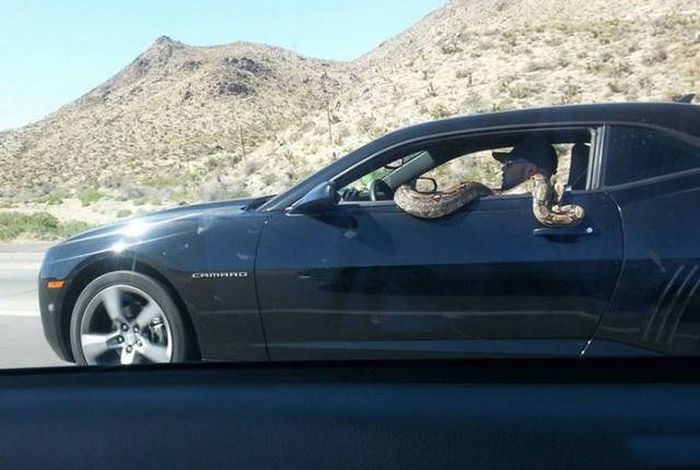 Автомобильный юмор