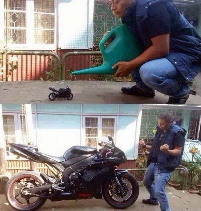 Автомобильный юмор