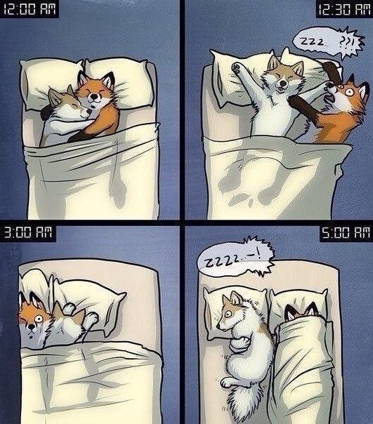 Смешные комиксы