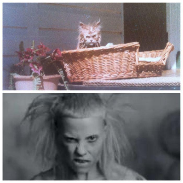 Прикольные картинки