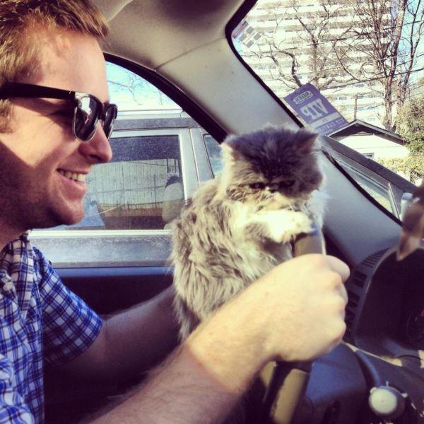 Прикольные картинки