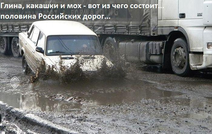 Прикольные картинки