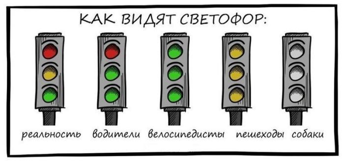 Авто-юмор (60 фото)