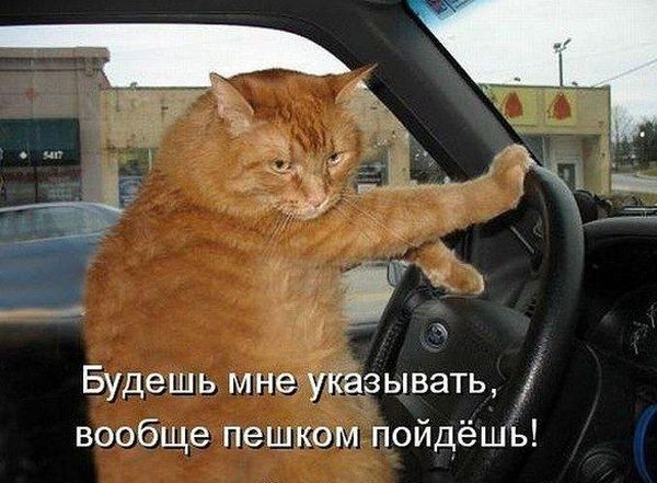 Авто-юмор (60 фото)