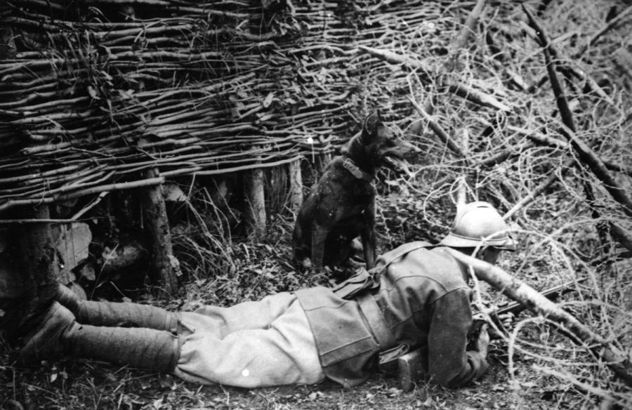 Ранее неопубликованные фотографии Первой Мировой войны (62 фото)
