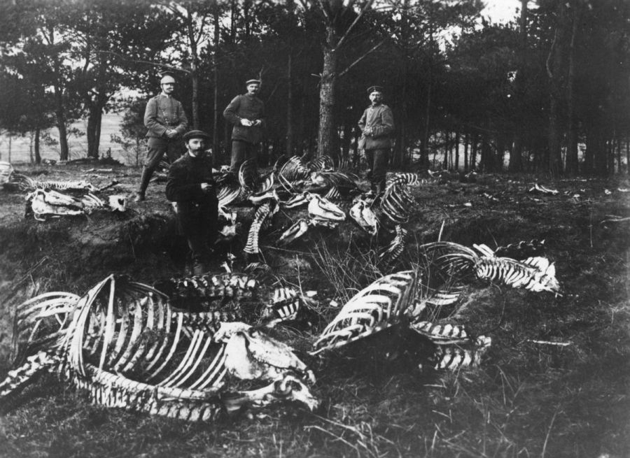 Ранее неопубликованные фотографии Первой Мировой войны (62 фото)