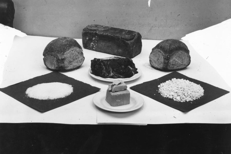 Ранее неопубликованные фотографии Первой Мировой войны (62 фото)