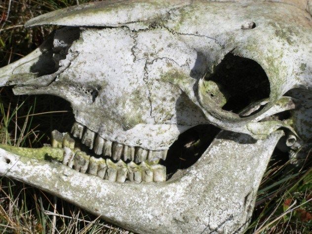 Самые ужасные и таинственные острова (10 фото)