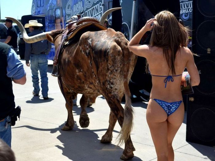 Прикольные картинки (67 фото)