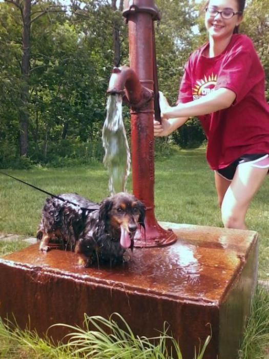 Прикольные картинки (67 фото)