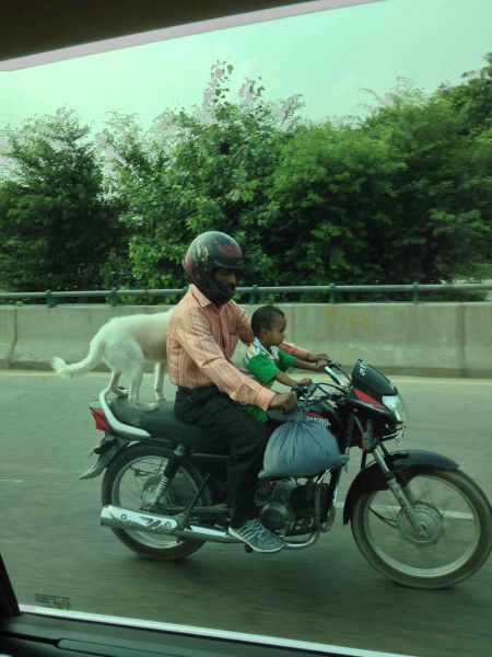 Прикольные картинки (67 фото)