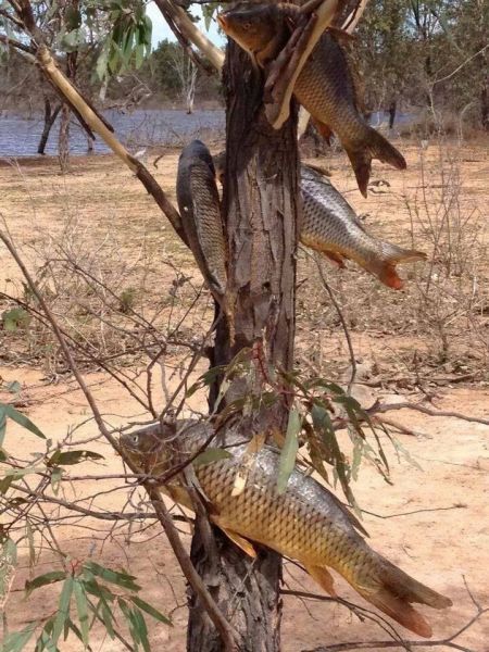 Прикольные картинки (67 фото)