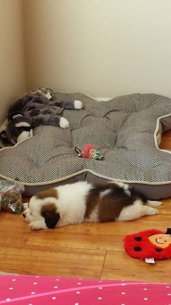 Прикольные картинки (67 фото)