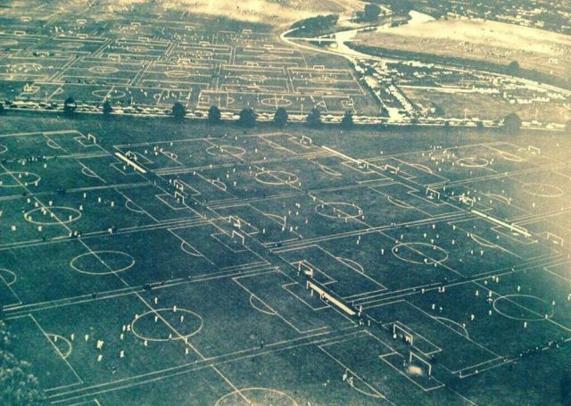 Прикольные картинки (67 фото)