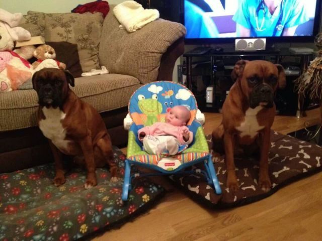 Прикольные картинки (67 фото)