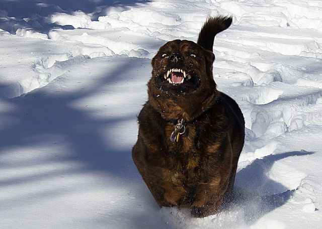 Прикольные картинки (67 фото)