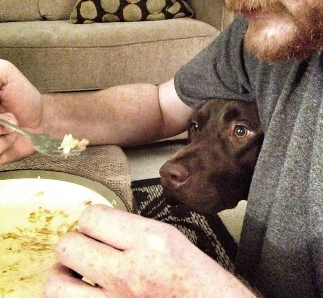 Прикольные картинки (67 фото)