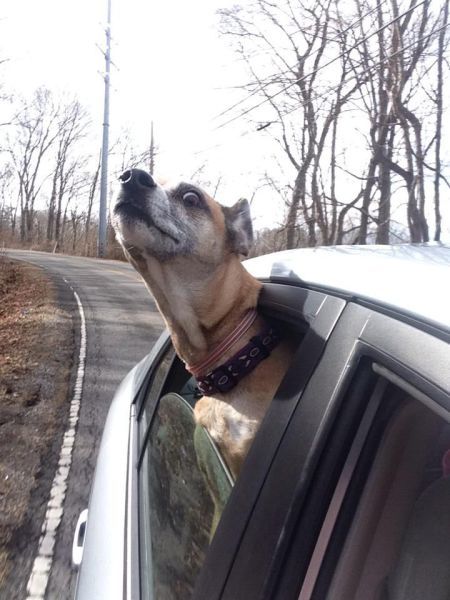 Прикольные картинки (67 фото)