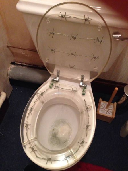 Прикольные картинки (67 фото)