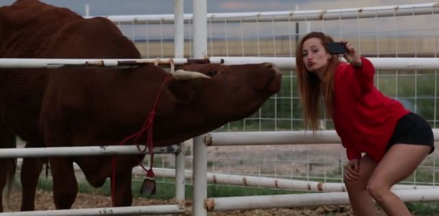 Прикольные картинки (67 фото)