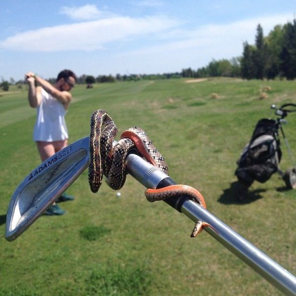 Прикольные картинки (67 фото)